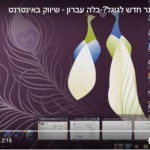 הכנסת אתר לאינדקס גוגל
